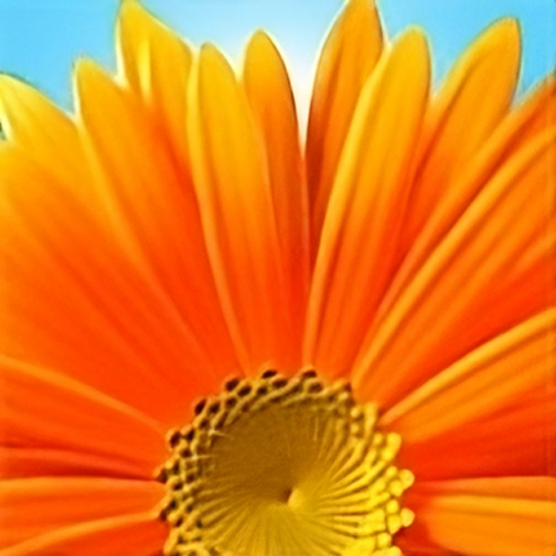 Profil